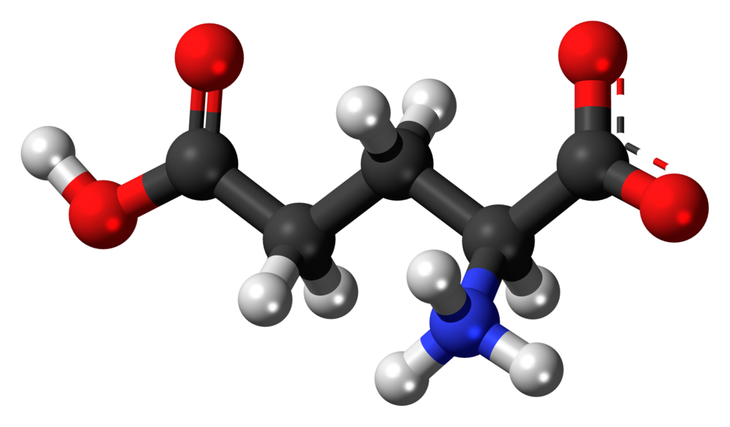 Modelo 3D de la estructura molecular del ácido glutámico (glutamato)