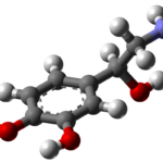 Noradrenalina: el neurotransmisor de la alerta y el estrés