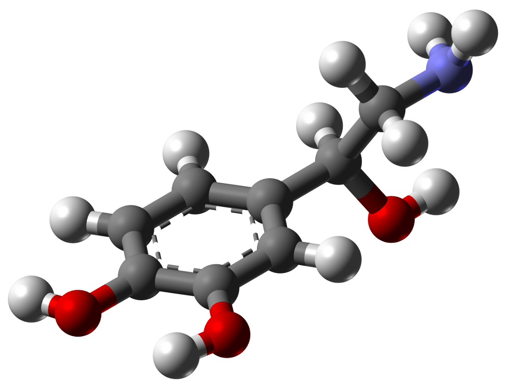 Modelo 3D de la estructura molecular de la noradrenalina (norepinefrina)