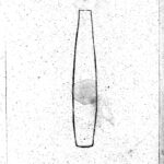 Bazo: Anatomía, Funciones e Importancia Clínica