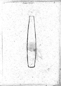 Bazo: Anatomia, Funciones e Importancia Clinica