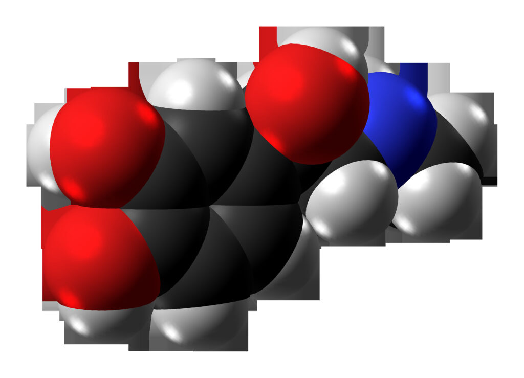 Adrenalina (epinefrina)