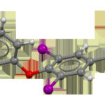 Tiroxina (T4) y triyodotironina (T3): hormonas tiroideas