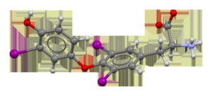 Tiroxina (T4) y triyodotironina (T3): hormonas tiroideas