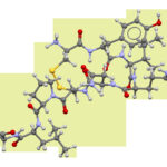 Oxitocina: la hormona del vínculo afectivo y el parto
