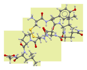 Oxitocina: la hormona del vínculo afectivo y el parto