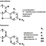 Estrógenos: hormonas femeninas y su papel en el ciclo menstrual