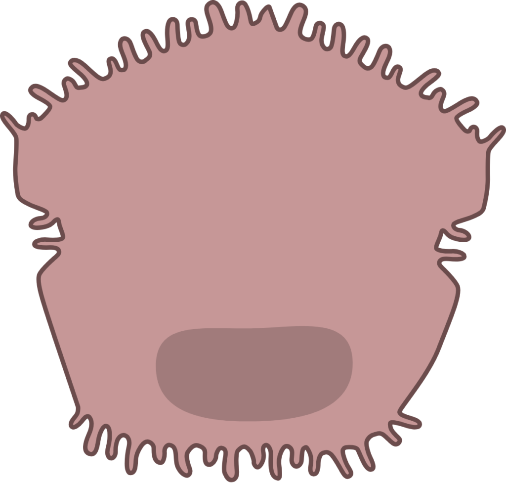 Hepatitis: tipos, síntomas, tratamiento y prevención