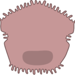 Hepatitis: tipos, síntomas, tratamiento y prevención