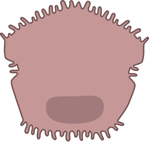 Hepatitis: tipos, síntomas, tratamiento y prevención