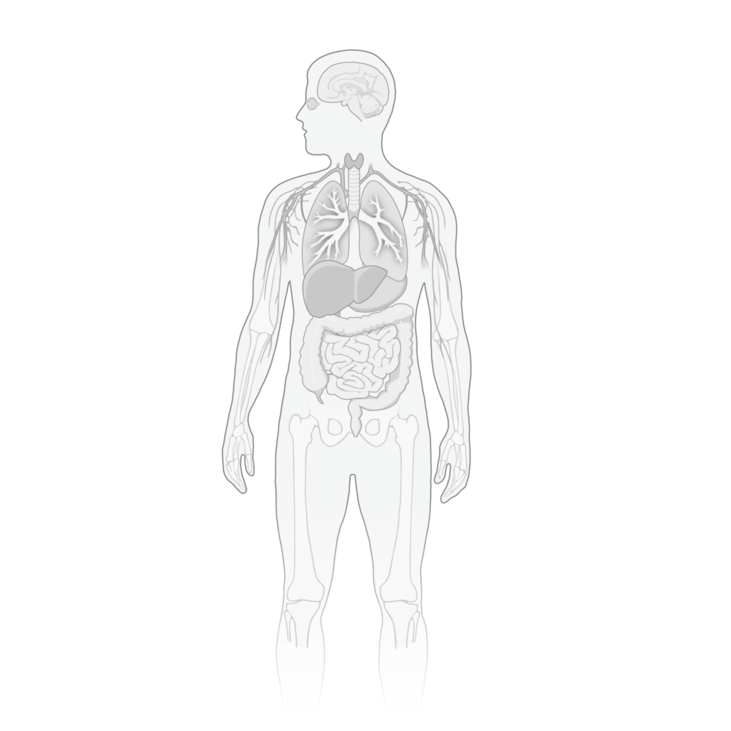 Insuficiencia hepática: cuando el hígado deja de funcionar