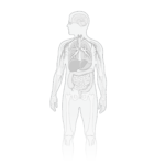 Insuficiencia hepática: cuando el hígado deja de funcionar