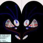 Parkinson: causas, síntomas y tratamiento