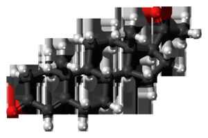 Progesterona: hormona del embarazo y el ciclo menstrual